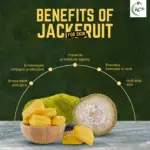 Jackfruit