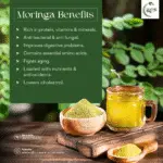 Moringa Powder
