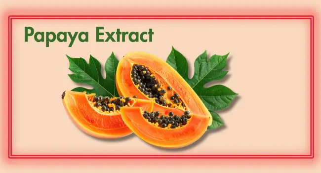 Papaya extract ingredient used in Divine Era Herbal acne cream for woman for pimples and acne marks