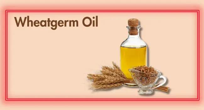 Wheat germ oil ingredient used in Divine Era Herbal acne cream for woman for skin repair and acne marks